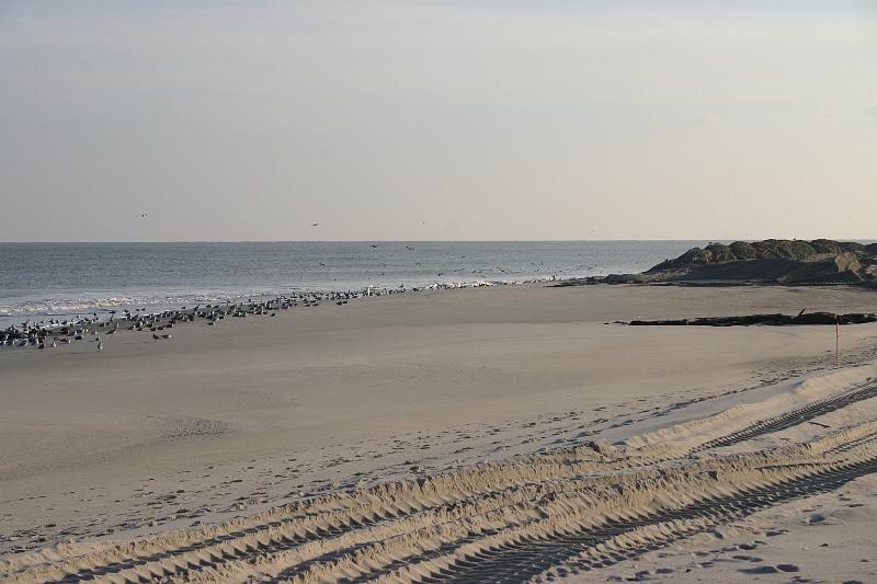 Day20 83rdJettyPM.JPG